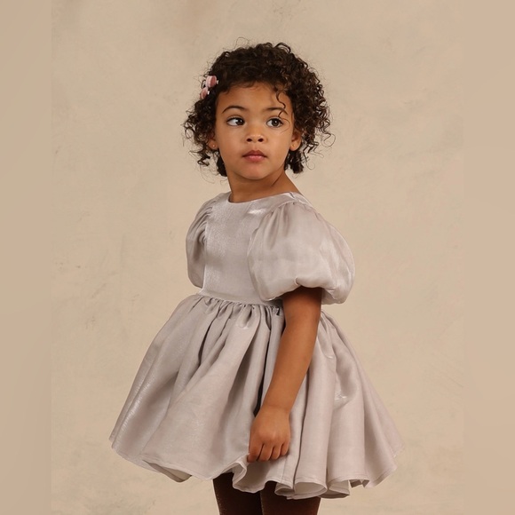 Noralee Sofia Dress in Frost - Picture 5 of 7